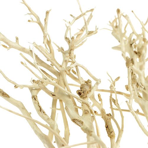 Floristik24 White Bush bleget 5 stk