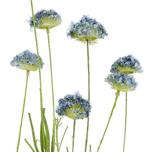 Floristik24 Engblomster blå L65cm 3stk