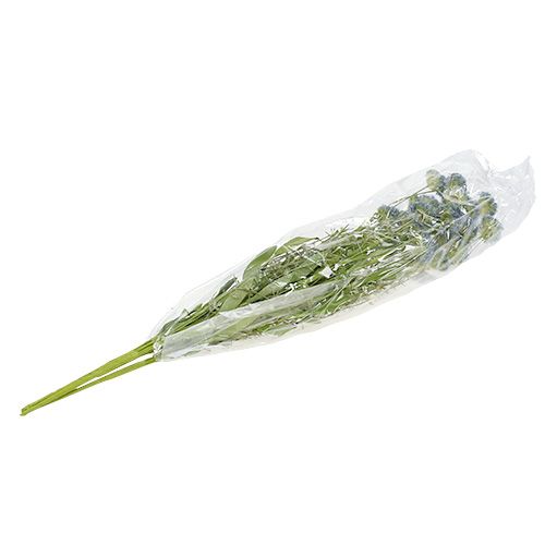 Floristik24 Engblomster blå L65cm 3stk