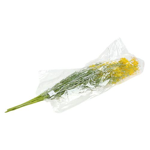 Floristik24 Engblomster gul L60cm 3stk