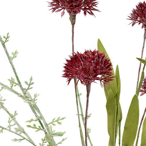 Floristik24 Engblomster rød L60cm 3stk
