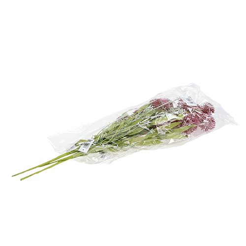 Floristik24 Engblomster rød L60cm 3stk