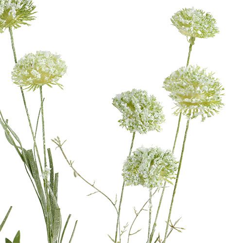 Floristik24 Engblomster hvide L60cm 3stk