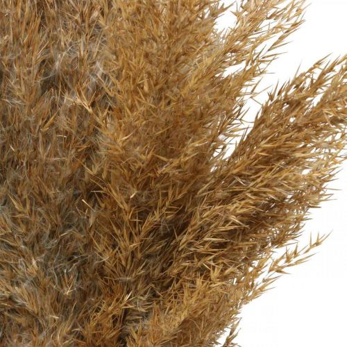 Artikel Tørt græshvirvel naturlig tør dekoration 75cm 10 stk