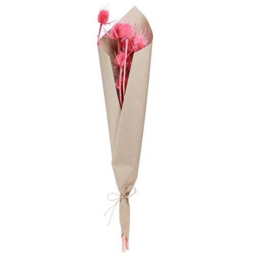 Artikel Wild cardoon tørre dekorationskort tidsler 53cm 10 hoveder 3 stk