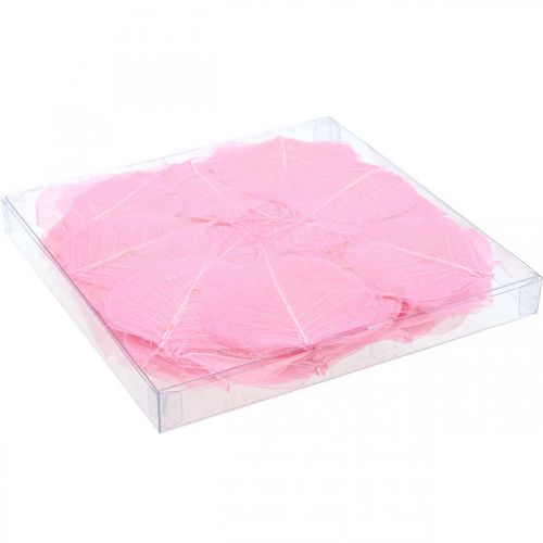 Artikel Skeletblade Pileblade skeletiseret pink 5-9cm 200 stk