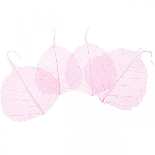 Artikel Skeletblade Pileblade skeletiseret pink 5-9cm 200 stk