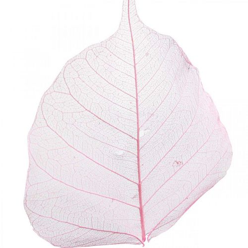 Artikel Skeletblade Pileblade skeletiseret pink 5-9cm 200 stk