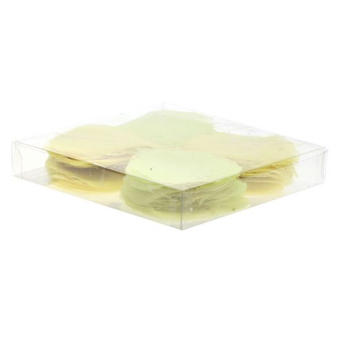 Floristik24 Pileblade skeletiseret gul blanding 200 stk