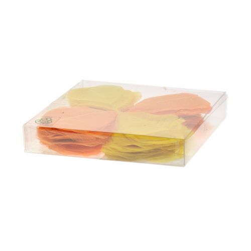 Floristik24 Pileblade skeletgule, orange 200 stk
