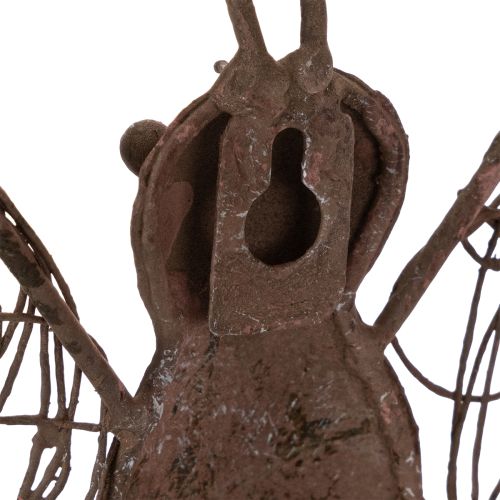 Metallanterne, vægdekoration, sommerfugl, rustfinish, 36,5 cm | Floristik24.dk