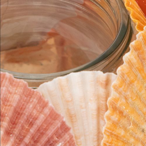 Artikel Nautisk fyrfadsstage, lanterne, ægte muslingeskaller, dekoration til badeværelse, feriestemning, 12 cm