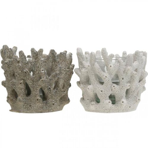 Floristik24 Lanterne med glas i koraldesign maritim dekoration hvid kunstig Ø9,5cm 2stk