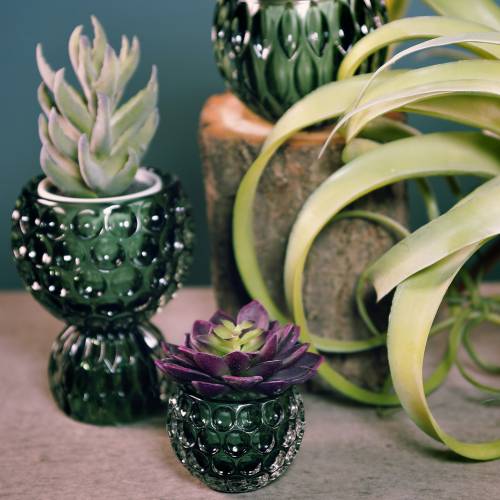 Floristik24 Glas lanterne mørkegrøn Ø11,5cm H9cm 1p