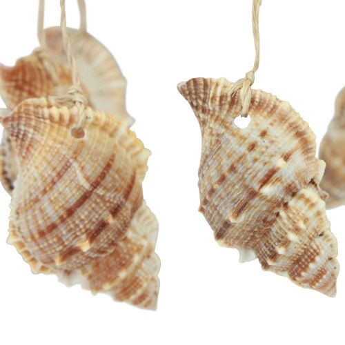 Artikel Vindklokke maritim dekoration med naturlig kokosnød Ø12,5cm 48cm