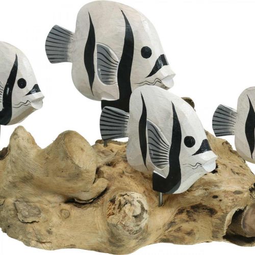 Floristik24 Dekorativ fisk stående rod træ display Maritim dekoration 38cm