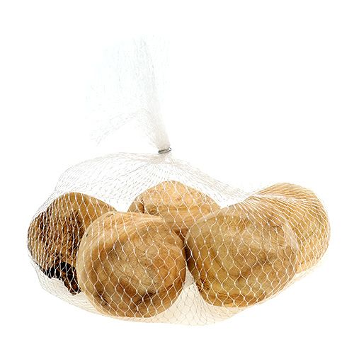 Floristik24 Rodkuglegrantræ Ø7cm natur 5 stk