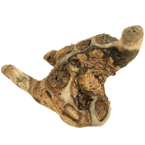 Floristik24 Rodstykker naturlige 500g