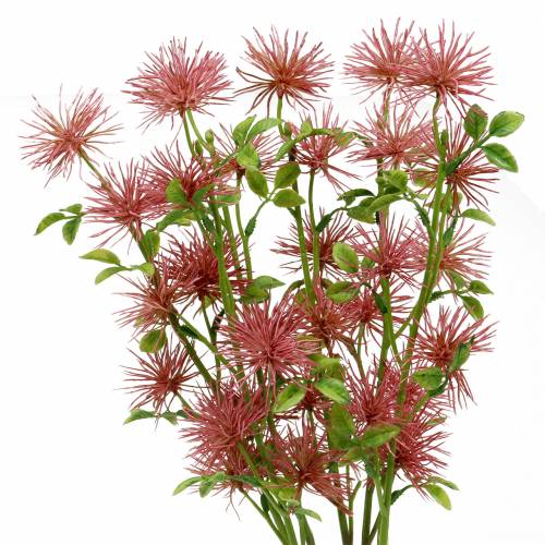 Floristik24 Xanthium silkeblomst dusky pink 53cm 6stk