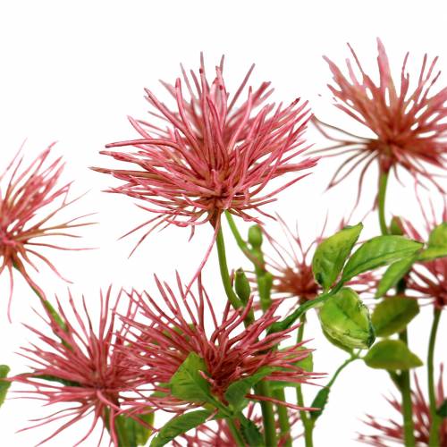 Floristik24 Xanthium silkeblomst dusky pink 53cm 6stk