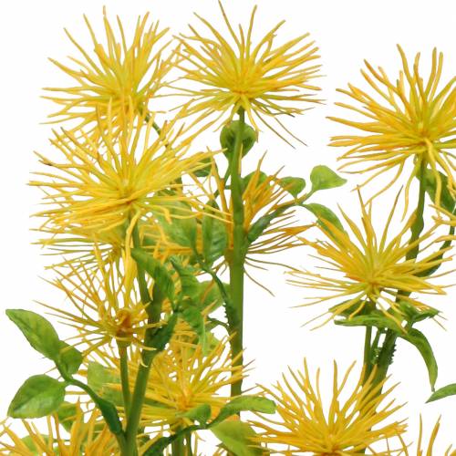 Floristik24 Xanthium silkeblomst gul 53cm 6stk