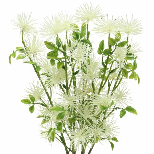 Xanthium silkeblomst hvid 53cm 6stk