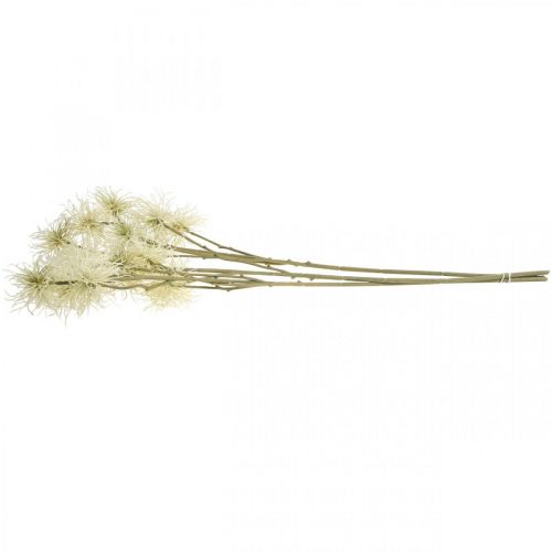Artikel Xanthium kunstig blomstercreme efterårsdekoration 6 blomster 80cm 3stk