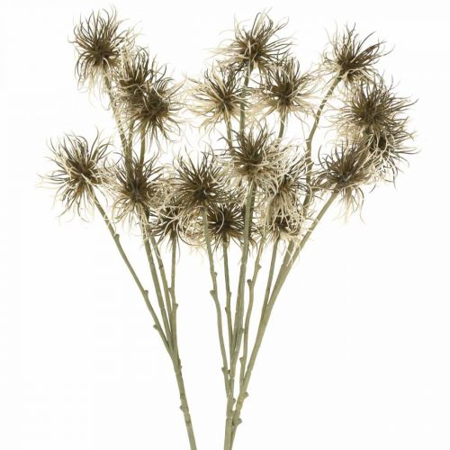 Floristik24 Xanthium kunstig blomst efterårsdekoration 6 blomster creme, brun 80cm 3 stk.