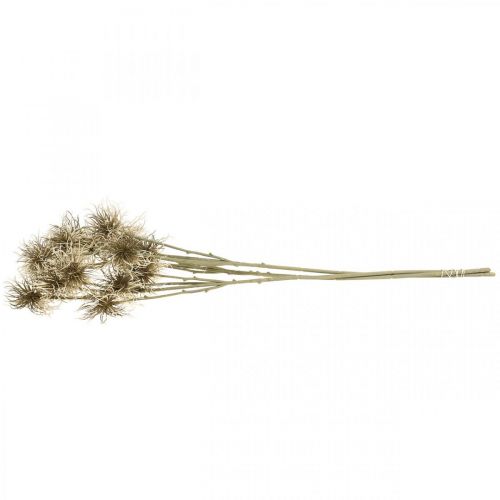 Artikel Xanthium kunstig blomst efterårsdekoration 6 blomster creme, brun 80cm 3 stk.