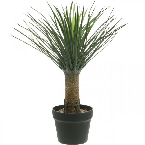 Floristik24 Kunstig yucca palme i potte Kunstig palme potteplante H52cm