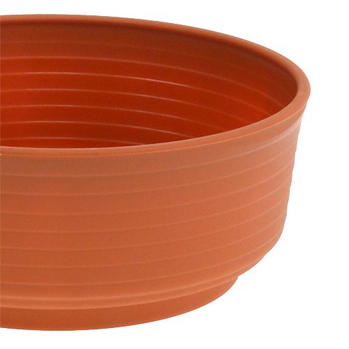 Artikel Z-skål plast Ø16cm 10 stk