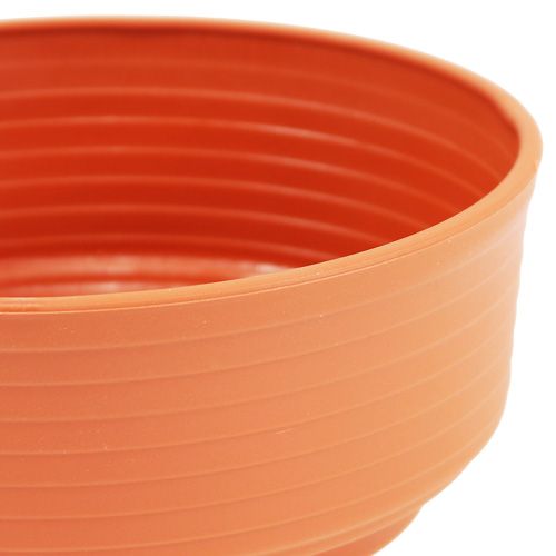 Artikel Z-skål plast Ø 16cm - 22cm 10 stk