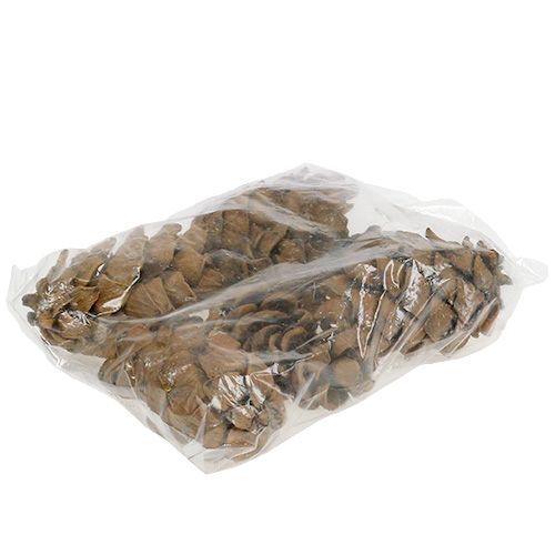 Floristik24 Kegler natur 9cm - 10cm 6 stk