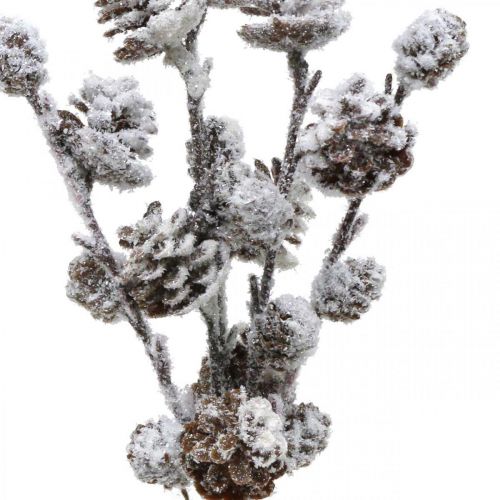 Artikel Julegrene keglegren sneklædt 30cm 5 stk i bundt