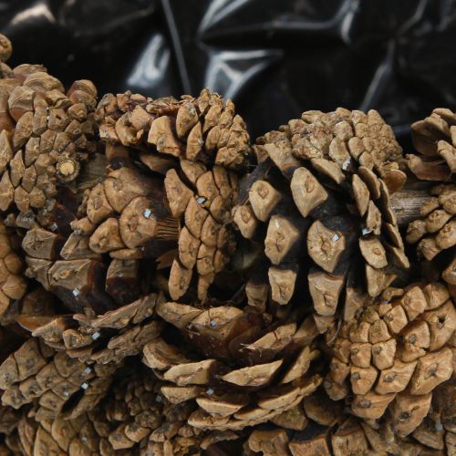 Artikel Koglekurv plantekurv fyrrekogler naturlige Ø33cm H17cm