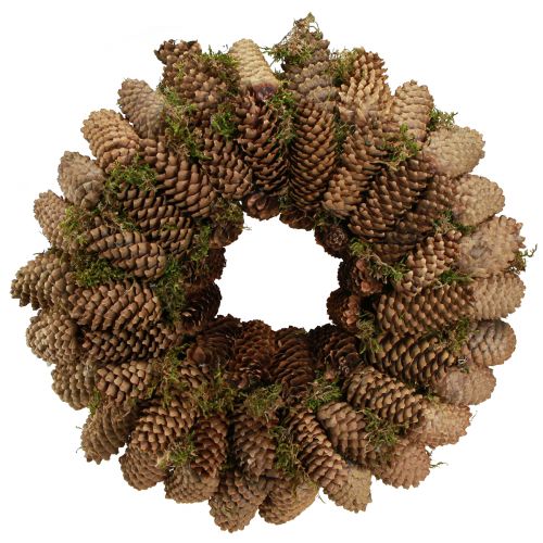 Floristik24 Koglekrans med mos Stor krans af grankogler Ø45cm