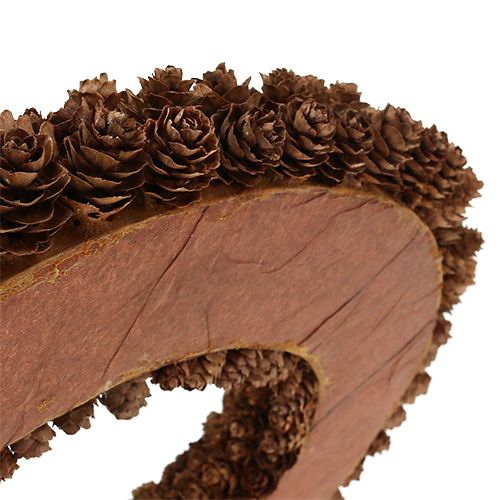 Floristik24 Keglekrans Ø31cm brun