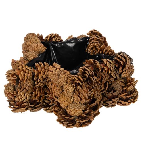 Koglepotte, stjerneformet, 30 cm købe | Floristik24.dk
