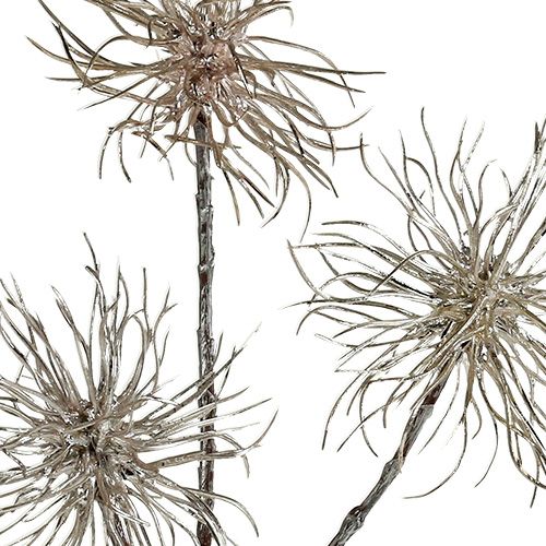 Artikel Troldnød gren champagne 45cm 3 stk