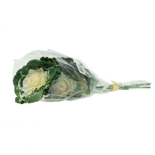 Floristik24 Kunstig prydkål hvid, grøn 25 cm 6stk