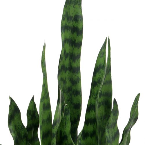 Floristik24 Kunstig Sansevieria i en gryde H90cm