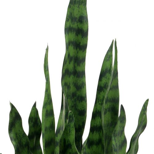 Artikel Sansevieria kunstig i potte H62cm