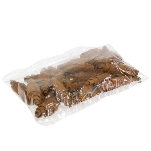 Floristik24 Kanel croissant dekoration 6,5cm - 7cm 30 stk