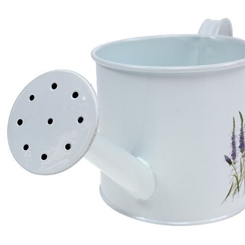 Floristik24 Zinkvandskande Ø10,5 cm H10cm med lavendel