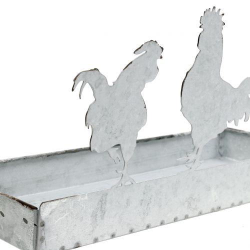 Floristik24 Zinkskål med kyllinger 30 cm x 12 cm H15,5 cm