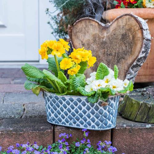 Floristik24 Zinkskål diamant med rebhåndtag oval 32 cm H15cm