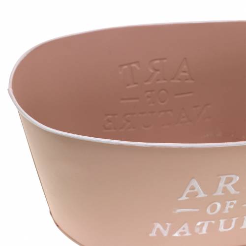 Artikel Blomsterskål oval zink gammelrosa plantekasse 27×18cm H12,5cm