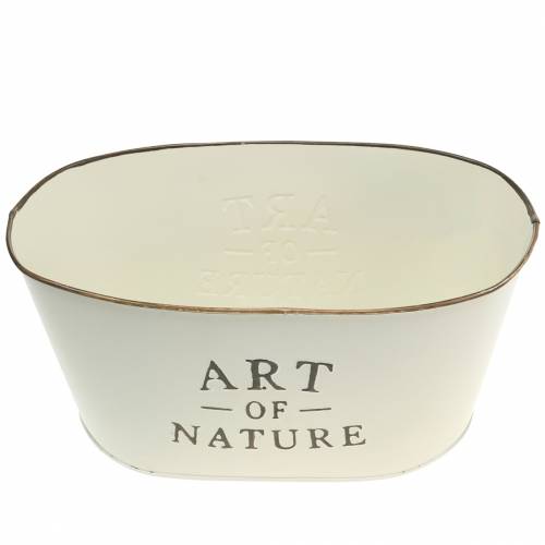 Artikel Blomsterskål oval zink 27 × 18 cm H12,5cm Forskellige farver