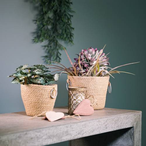 Floristik24 Zinkpotte med jute-planter Ø13cm H12cm