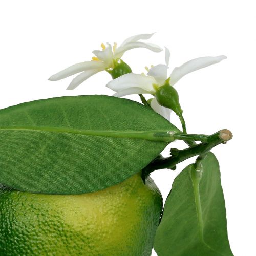 Floristik24 Citroner med blomst 9,5 cm grøn 4 stk